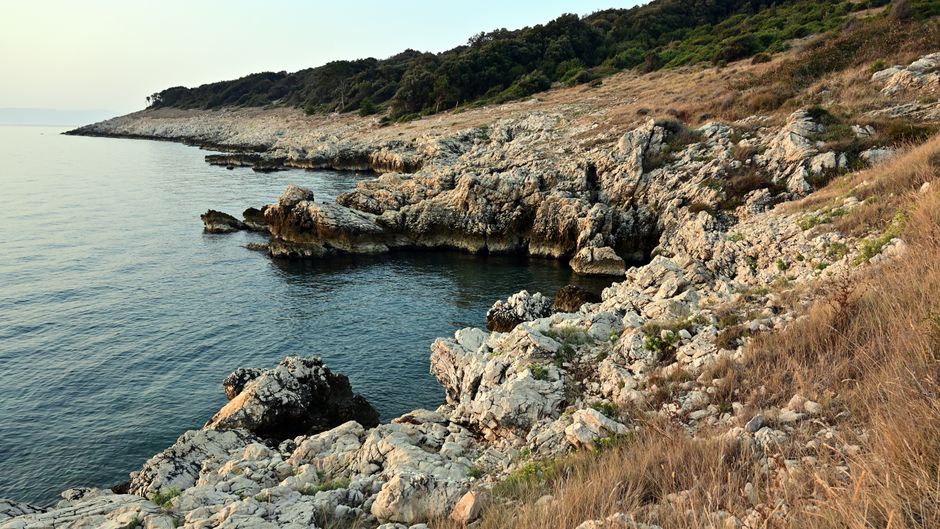 Obala Kvarnera